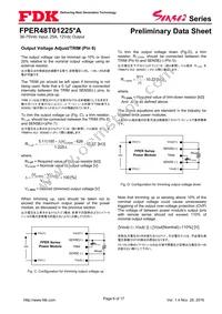 FPER48T01225NA-H Datasheet Page 6