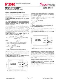 FPER48T01238NL-H Datasheet Page 6