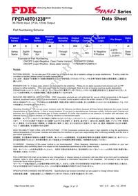 FPER48T01238NL-H Datasheet Page 17