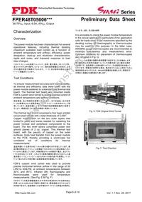 FPER48T05006NL Datasheet Page 8