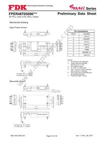 FPER48T05006NL Datasheet Page 15