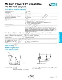 FPG86Z0105J-- Datasheet Page 2