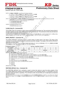 FPKD48T01208PA Datasheet Page 19