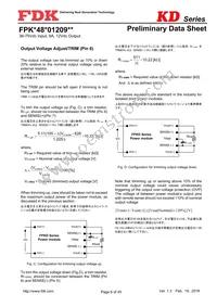 FPKD48T01209NL Datasheet Page 6