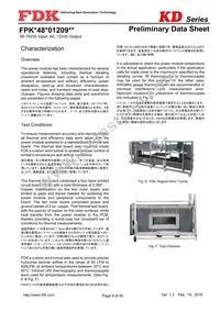 FPKD48T01209NL Datasheet Page 9