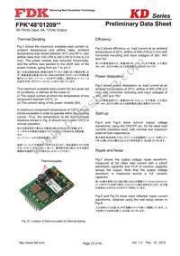 FPKD48T01209NL Datasheet Page 10