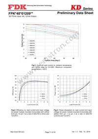 FPKD48T01209NL Datasheet Page 11