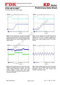 FPKD48T01209NL Datasheet Page 12