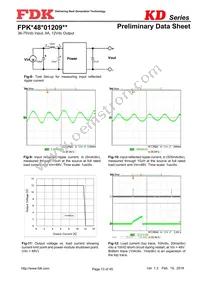 FPKD48T01209NL Datasheet Page 13