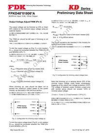 FPKD48T01806PA Datasheet Page 6