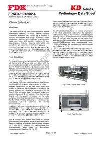 FPKD48T01806PA Datasheet Page 9