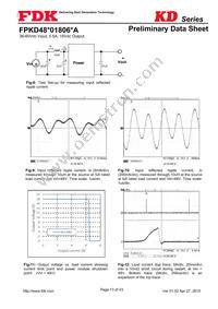 FPKD48T01806PA Datasheet Page 13