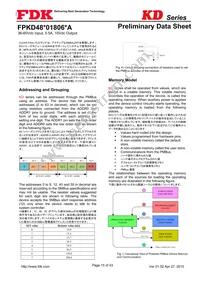 FPKD48T01806PA Datasheet Page 15