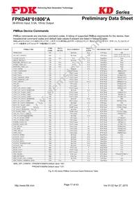 FPKD48T01806PA Datasheet Page 17