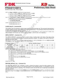 FPKD48T01806PA Datasheet Page 19