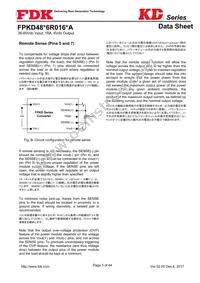 FPKD48T6R016PA Datasheet Page 5