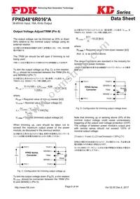 FPKD48T6R016PA Datasheet Page 6