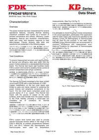 FPKD48T6R016PA Datasheet Page 9