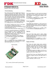 FPKD48T6R016PA Datasheet Page 10