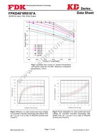 FPKD48T6R016PA Datasheet Page 11