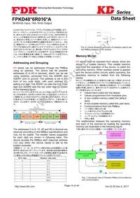 FPKD48T6R016PA Datasheet Page 15