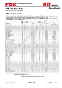 FPKD48T6R016PA Datasheet Page 17