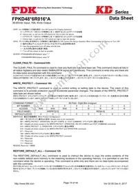 FPKD48T6R016PA Datasheet Page 19