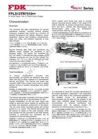 FPLS12TR7510PA Datasheet Page 10