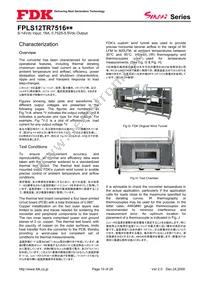 FPLS12TR7516PA Datasheet Page 10