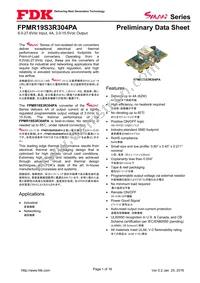 FPMR19S3R304PA Datasheet Cover