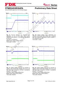 FPMR24S3R304PA Datasheet Page 13