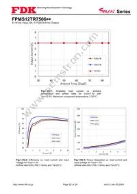 FPMS12TR7506PA Datasheet Page 22