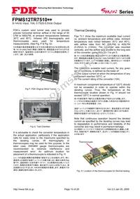 FPMS12TR7510PA Datasheet Page 10