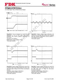 FPMS12TR7510PA Datasheet Page 19