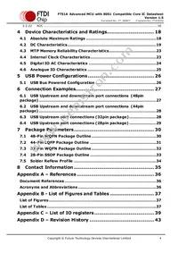 FT51CS-R Datasheet Page 4
