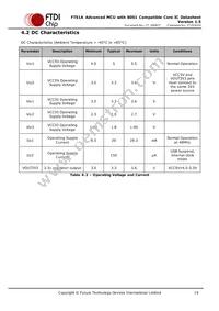 FT51CS-R Datasheet Page 19