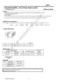 GA243DR7E2472MW01L Datasheet Cover