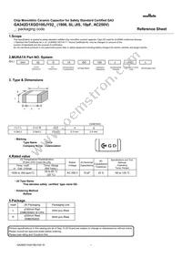 GA342D1XGD100JY02L Datasheet Cover