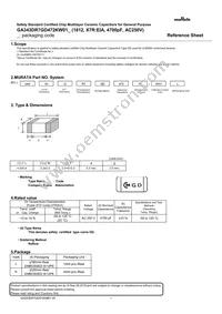 GA343DR7GD472KW01L Datasheet Cover