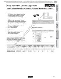 GA355DR7GC221KY02L Datasheet Page 10