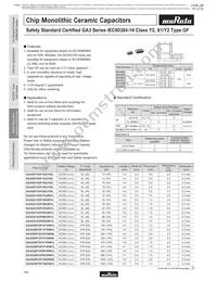 GA355DR7GC221KY02L Datasheet Page 11
