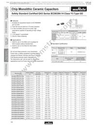 GA355DR7GC221KY02L Datasheet Page 13