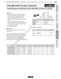 GA355DR7GC221KY02L Datasheet Page 14