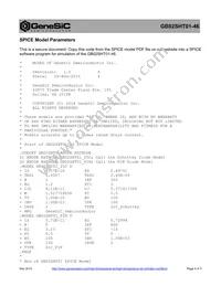 GB02SHT01-46 Datasheet Page 4