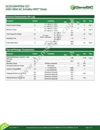 GC2X100MPS06-227 Datasheet Page 2