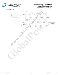 GHIS030A060B2P2 Datasheet Page 11
