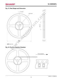 GL100MN0MP1 Datasheet Page 10