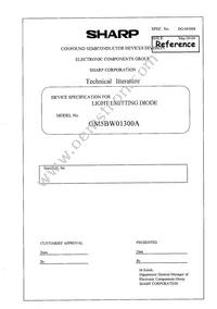 GM5BW01300A Datasheet Page 2