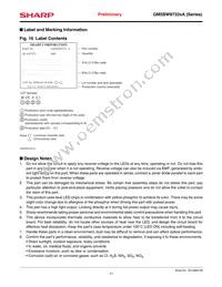 GM5BW97333A Datasheet Page 11