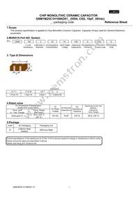 GNM1M25C1H100KD01D Datasheet Cover